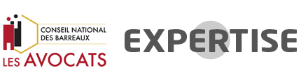 Logo Avocats Expertise